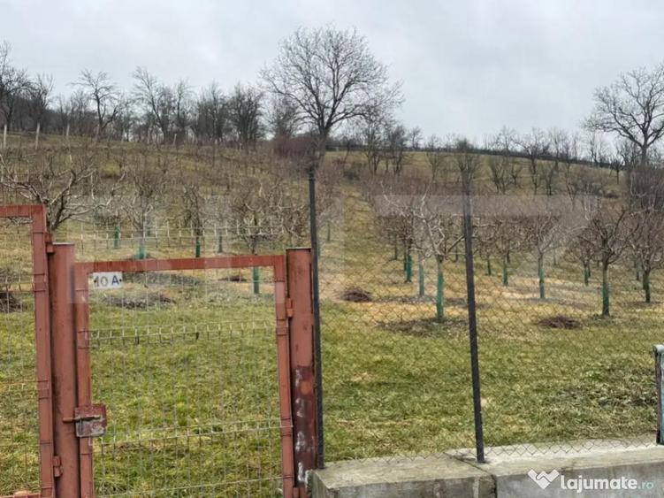 Teren de vanzare, Zona linistita, ideal construire - 4