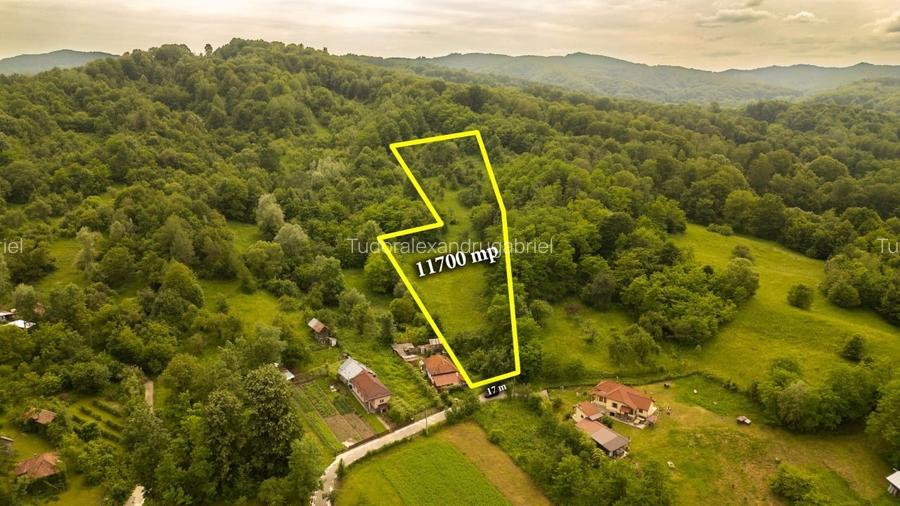 Teren 11700 mp în Valea Lungă, o oază de liniște, aer curat și verdeață Teren 11700 mp în Valea Lungă, o oază de liniște, aer curat și verdeață