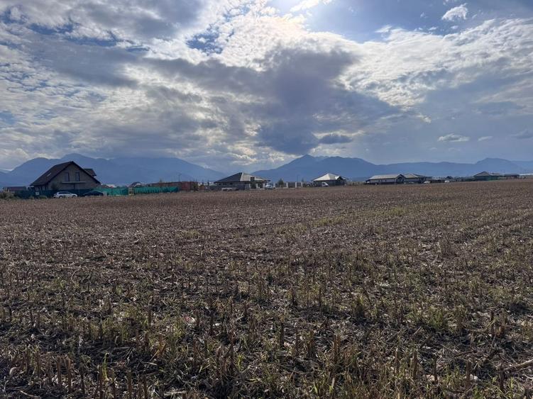 Teren dezvoltare rezidentiala Tarlungeni - zona Izvor - 2