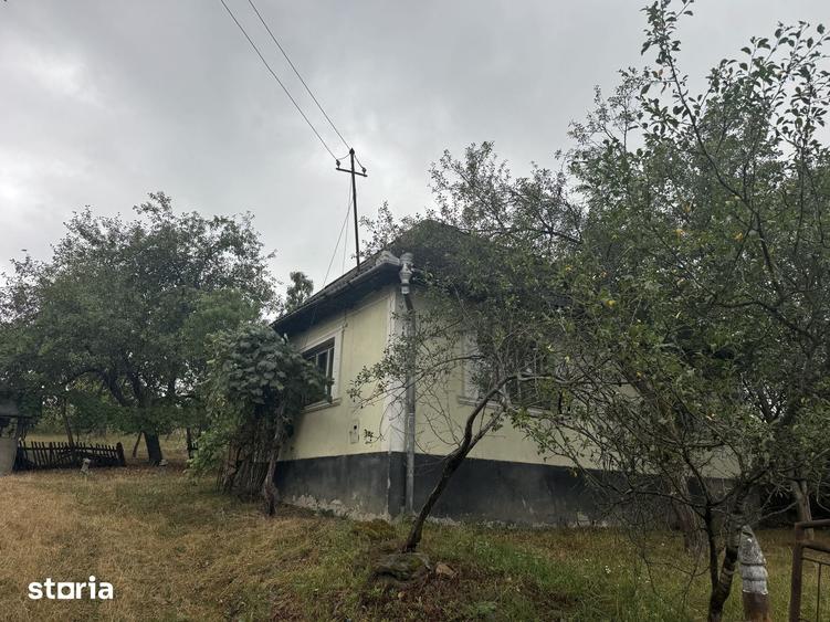 Casă cu 3 camere cu Teren 4500 Mp în Băița