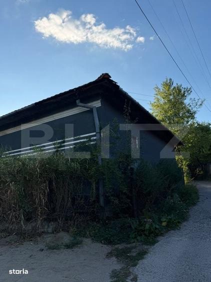 Casă cu 3 camere în Vinerea
