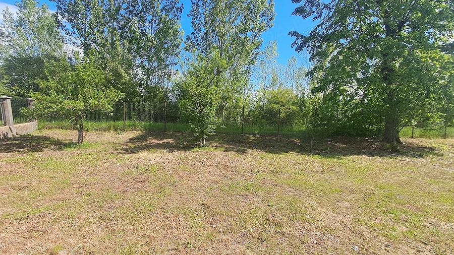 Teren de 4200 mp, în Palanga