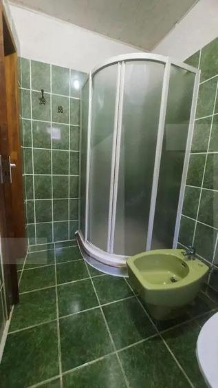 Casa cu Sauna Finlandeza + Atelier Auto in Sfantu Gheorghe - 9