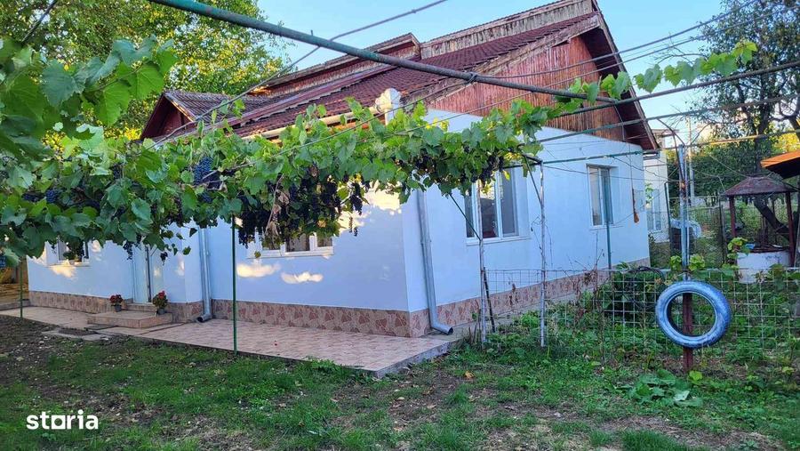 Casa Pestisul Mare la pretul corect. - 10