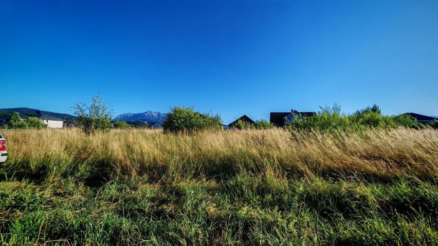 Teren intravilan 1000 mp pt construcții case Cristian str Nisipului - 3