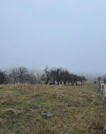 Teren Poiana Marului -Zarnesti -Brasov - 8