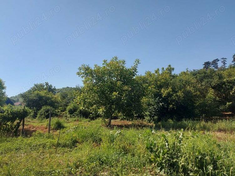 Casa cu gradina in Blaj - 3