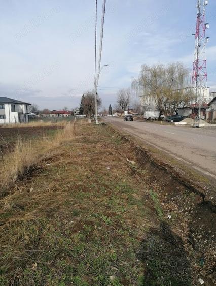 Teren de 7500 mp, în Adunații-Copăceni