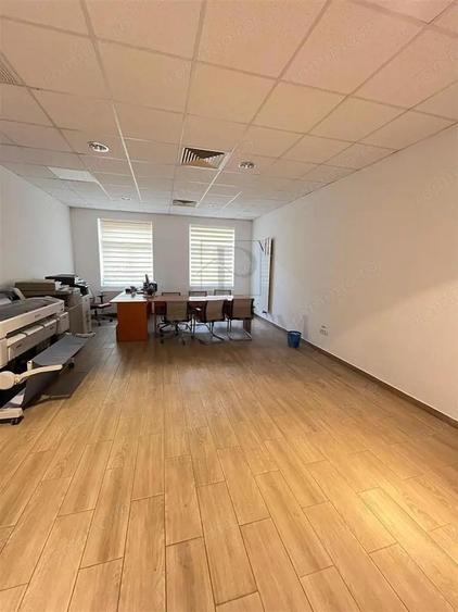 MIRCEA CEL BATRAN - CASA INDIVIDUALA + TEREN GENEROS - SAD - INVESTITIE UNICA - 19