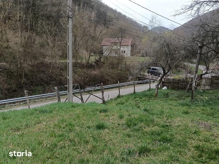 Teren Vetel (valea caoiului)3573 mp - 3