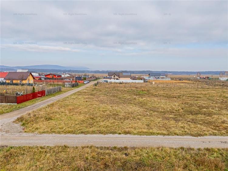 Teren 1000 mp Harman - 6