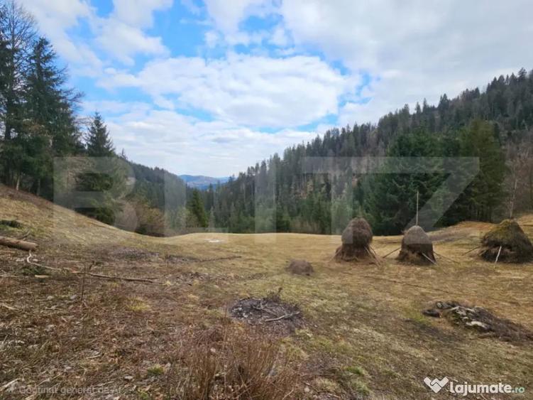 Teren extravilan 11.480 mp cu poten?ial intravilan Tra - 4