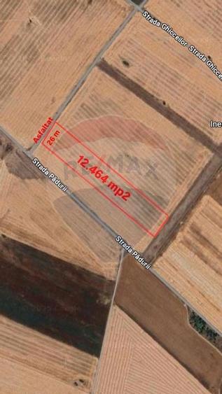 Teren 12,464mp Chitila / Strada Padurii - 1