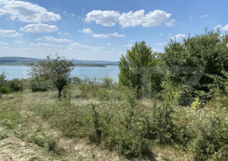 Teren extravilan in apropierea lacului Varsolt in suparfata - 6