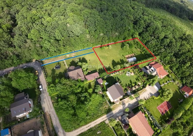 Teren intravilan in padure 3000mp cu Livada si imprejmuit