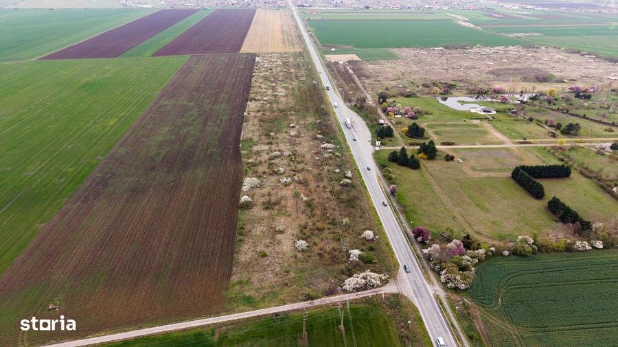 Teren de 41800 mp iesire Vladimirescu - 2