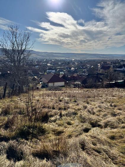 Casa de vanzare-Sg.de Padure - 3