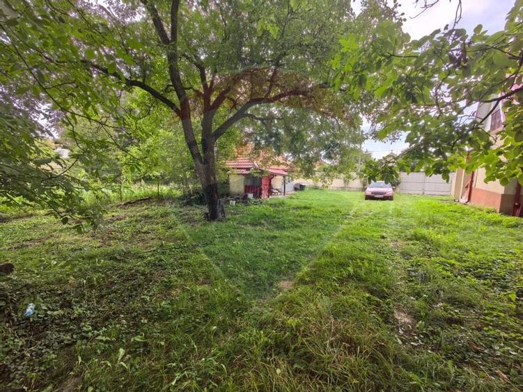 Casa traditionala De Vanzare cu 5 Hectare de teren - 12