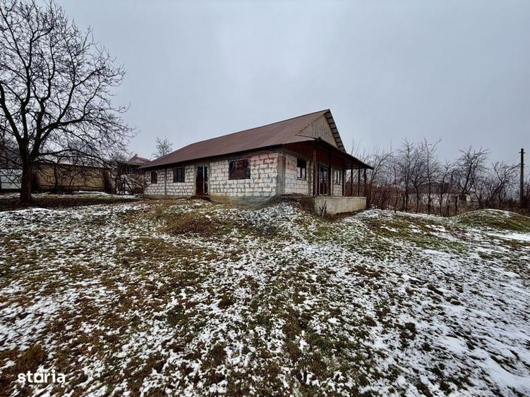 Casa Bolotesti / Vitanestii de Sub Magura - 16