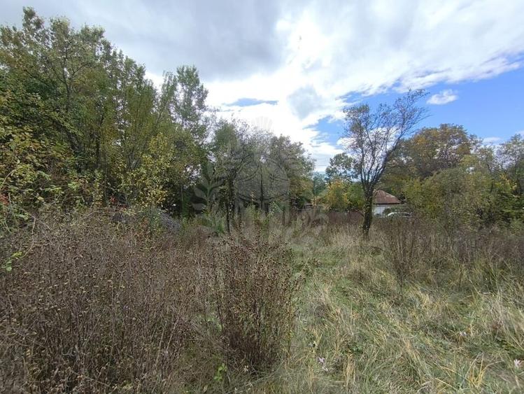 TEREN INTRAVILAN// CORNU DE JOS - 4