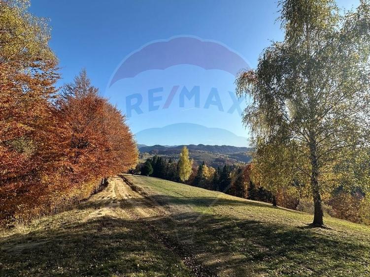 Oportunitate de investiție ! Teren de vis în Pestera - 125.370 mp - 28