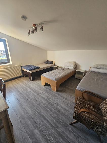 Proprietate speciala Dumbravita - casa individuala !! - 8