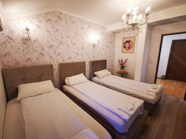 Hanul Potcoava Norocoasa – Business “la cheie“ Ortisoara !! - 4