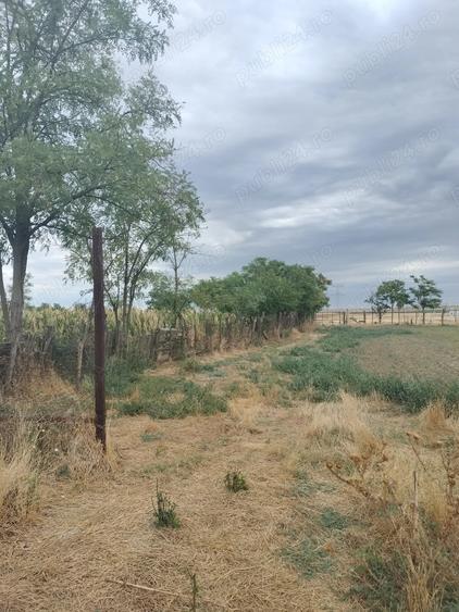 Vand casa batraneasca sat Smirna jud ialomita - 3