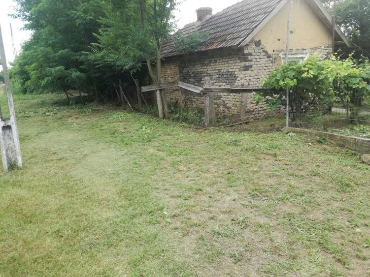 Ag BRASADAS vinde casa LOCUIBILA 3 cam teren 5.000 mp HOREA. - 5