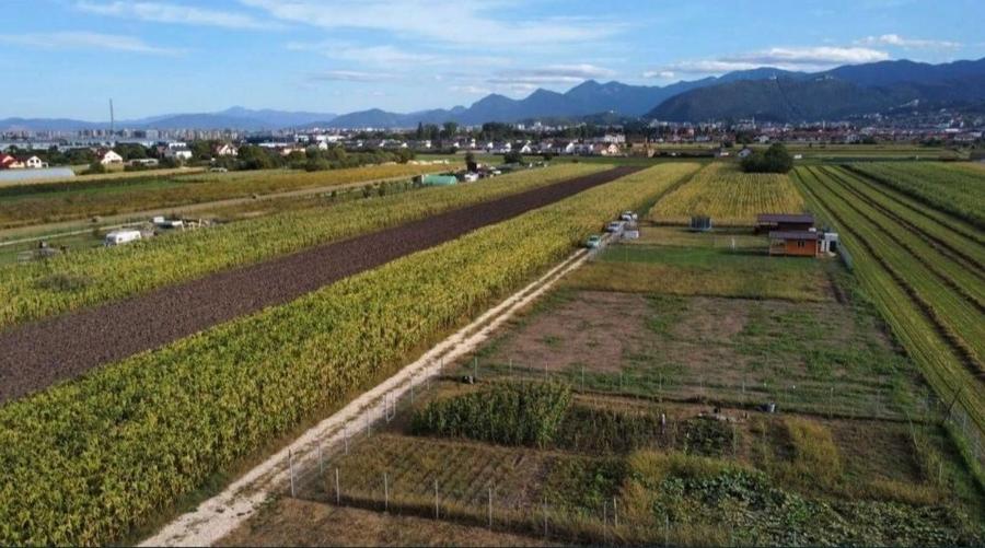 Teren intravilan 657 mp in Brasov, str Aron Pumnu - 3