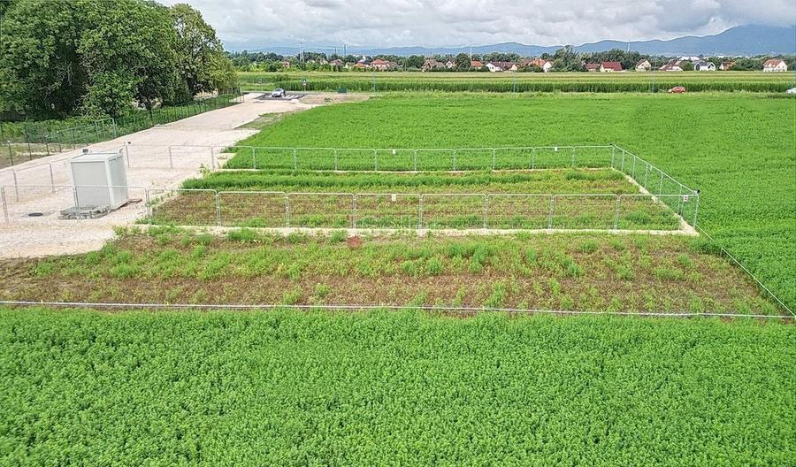 Teren Industrial - 18