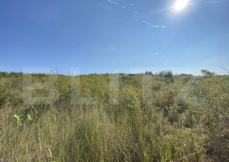 Teren intravilan/extravilan centura Zalau, 8200 mp - 3