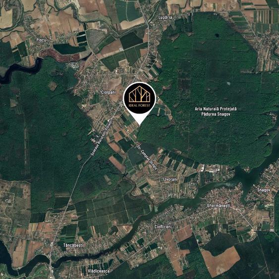 LOT DE VANZARE cu deschidere la padurea Snagov - 10