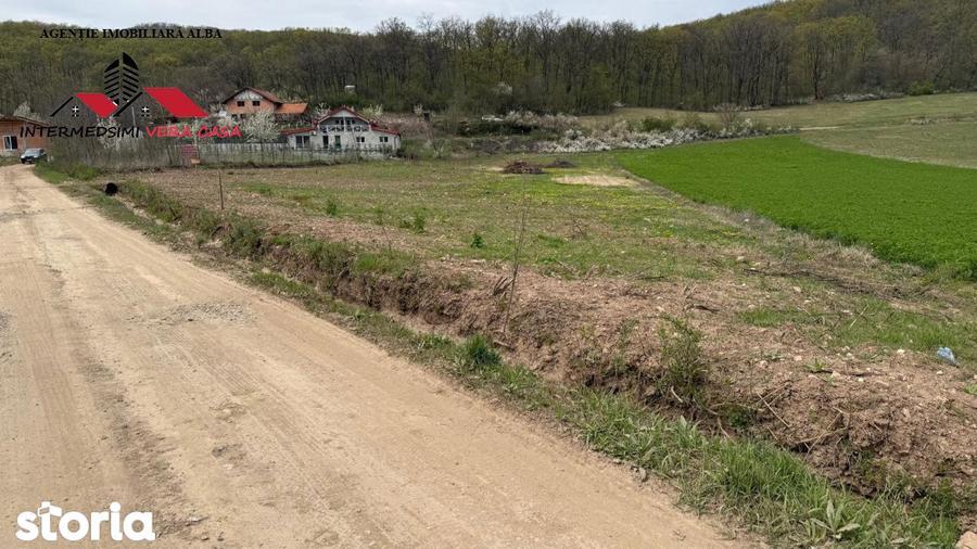 Teren intravilan 833 mp de vanzare in Ampoita Jud Alba - 5
