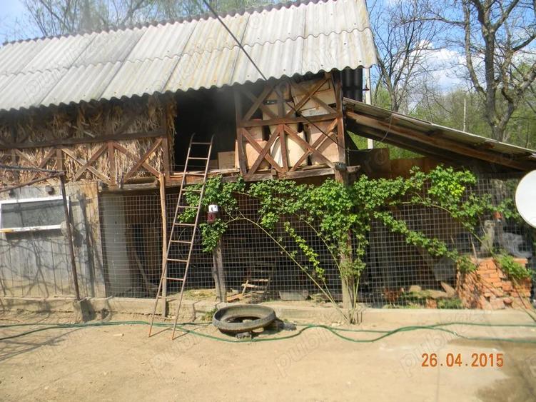 Vand gospodarie taraneasca teren Com Danicei Sat Ciresu 7300mp la 18.000euro - 4