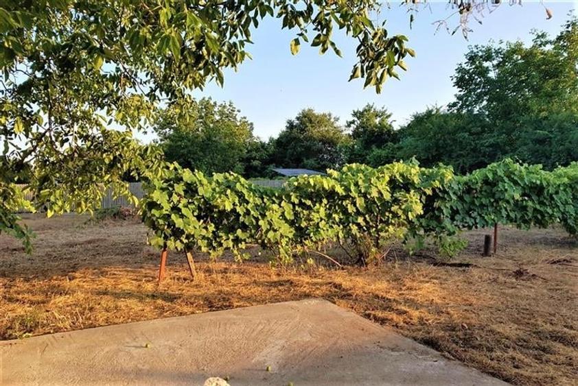 Teren pentru casa sau pensiune -  Comision 0% - 510 mp pana la 800 mp - 4