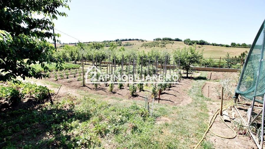 Teren intravilan 1.300 mp.zona Belvedere Targu Mures - 1