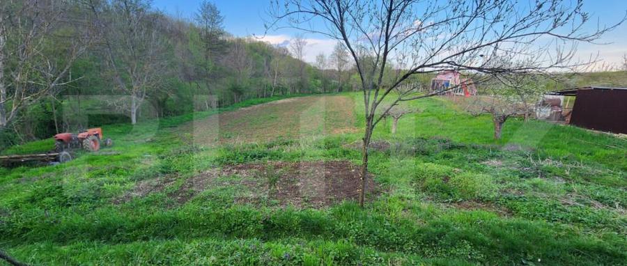 Teren 6650 mp, cu casa nefinalizata de 111 mp, in Nisipoasa - 5