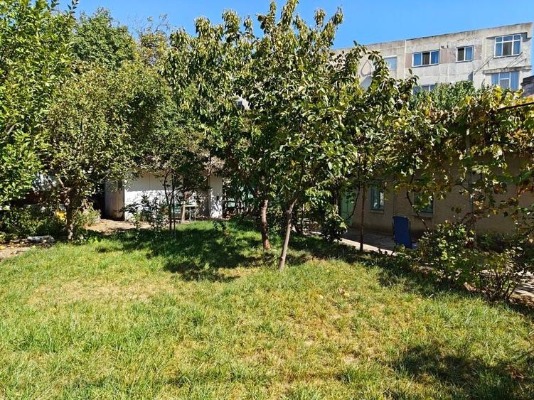 VANZARE TEREN MANGALIA - 14