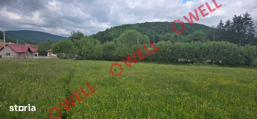 Teren extravilan de vanzare in Barcani, sat Sarama?! - 6