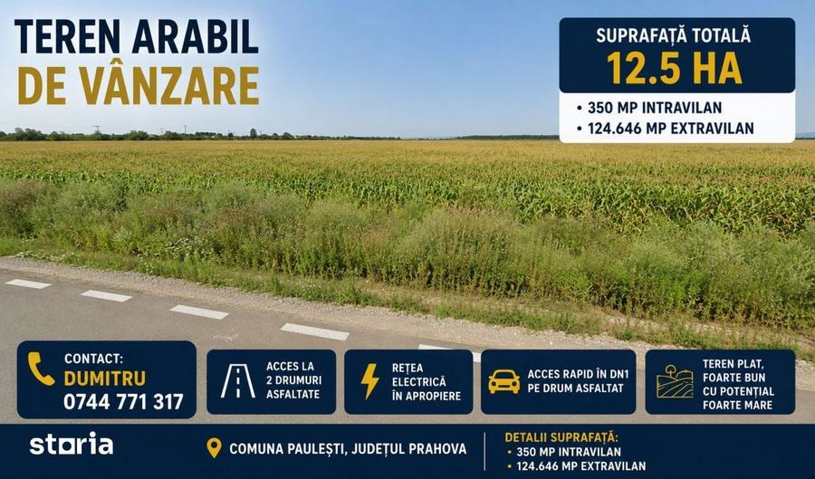 PLOIESTI - PAULESTI, Teren arabil 12.5 ha - dubla deschidere la asfalt - 1