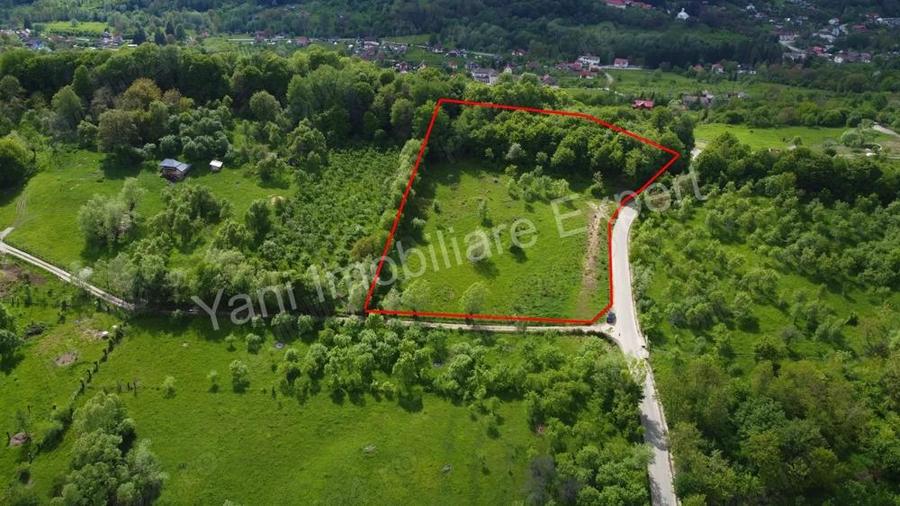 Teren de vanzare in comuna Corbi, jude? Arge?. - 7