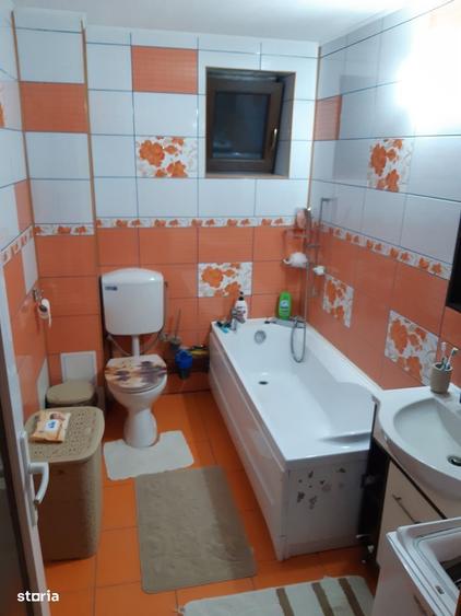 Casa 250 mp , P+M , 17 ari, Satu Nou de Jos , - 10