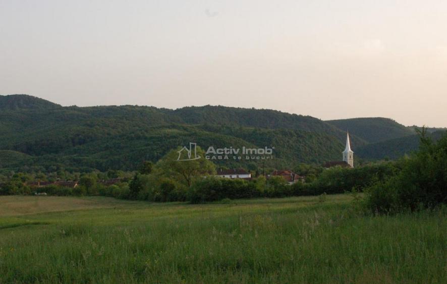 Casa de in Uileacul de Beius gospodarie traditionala,... - 10