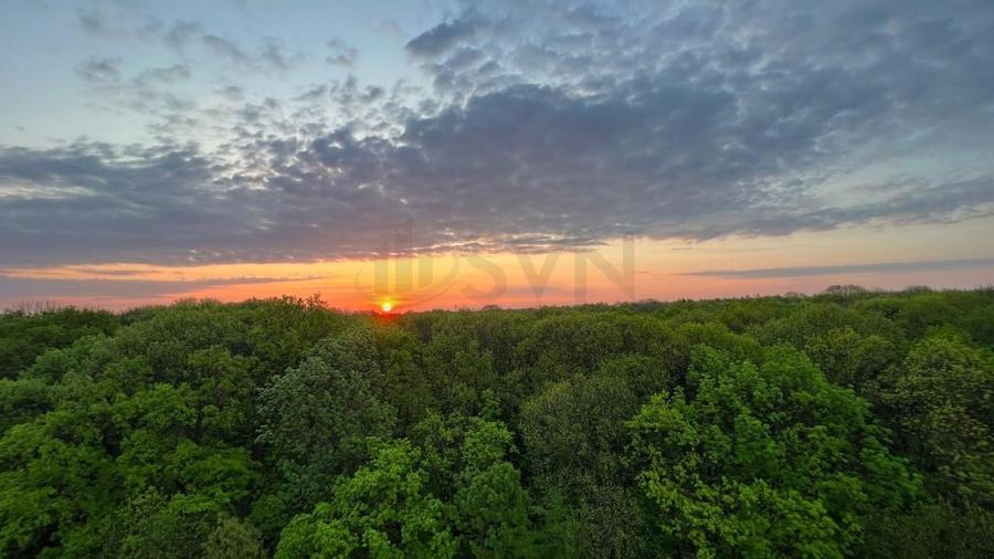 REA1021288 Apartament superb - vedere totala catre padure - 2