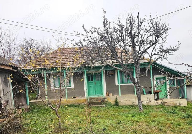 Particular Vand Casa + teren generos 5000 mp intravilan cu livada tanara si vita de vie productiva. - 3