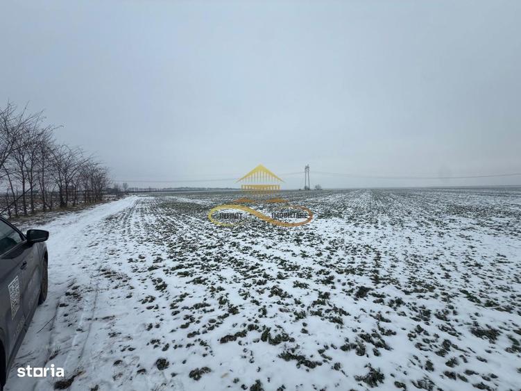 Teren agricol extravilan in Itesti de vanzare - 3