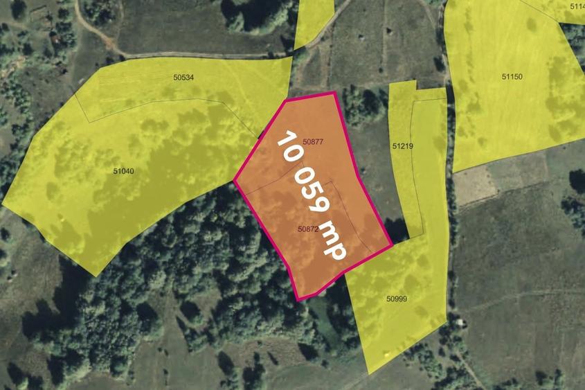 Teren cu panoramă fabuloasă, 10.059 mp, Roșia. 19.000 EUR. Comision 0 - 1