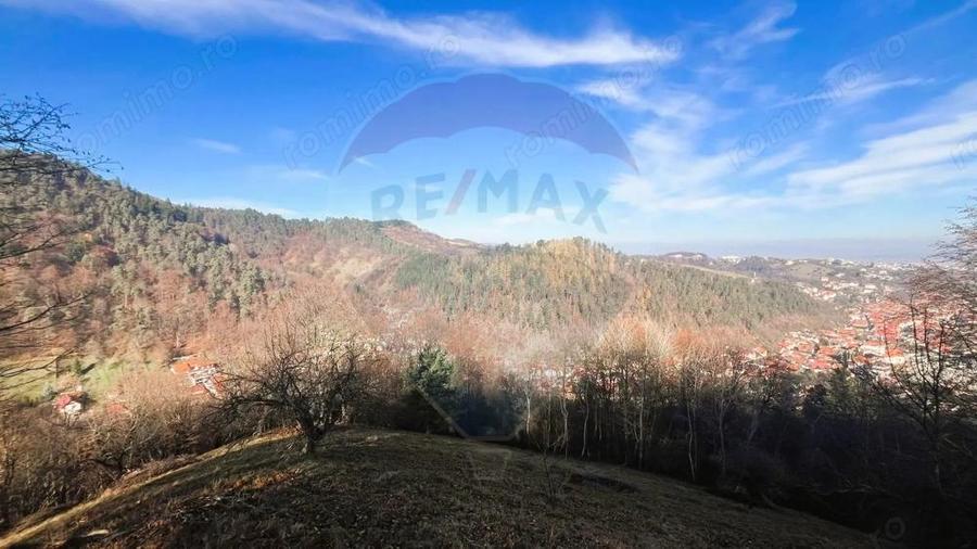 Teren Colinar Panoramic 17.684 mp in Scheii Bra?ovului - 2