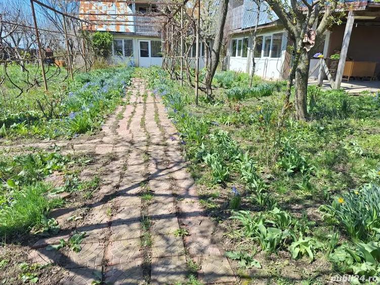 A 24 case 10000 mp teren Seciuieni Bacau - 7